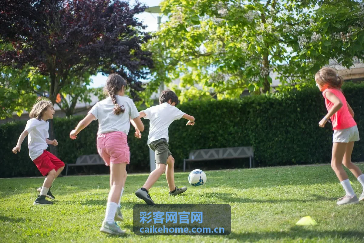 彩客网官网开奖结果查询方法与更新节奏